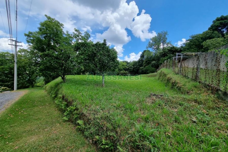 Chácara com 1672m², no bairro Linha 40 em Caxias do Sul para Comprar