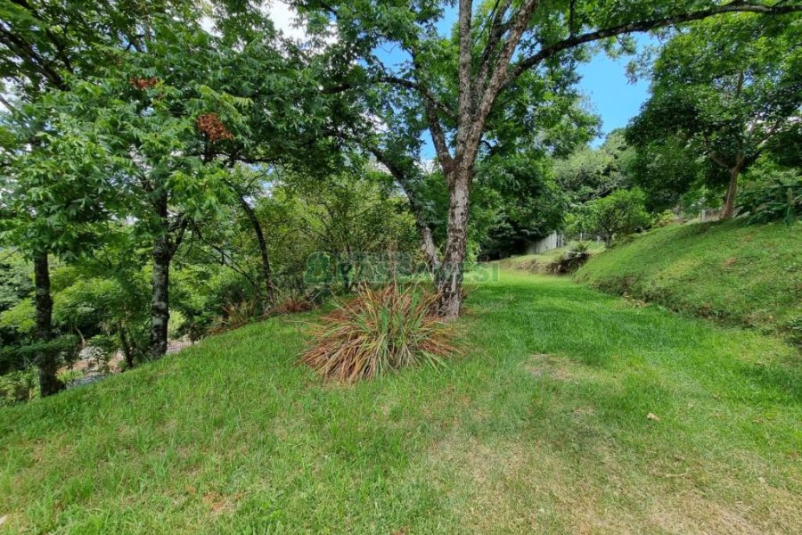 Chácara com 1672m², no bairro Linha 40 em Caxias do Sul para Comprar