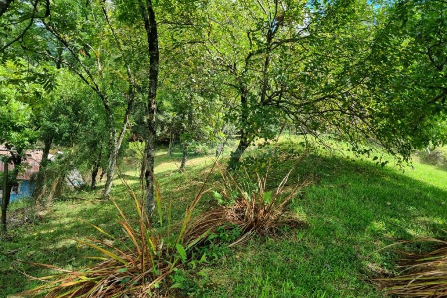 Chácara com 1672m², no bairro Linha 40 em Caxias do Sul para Comprar