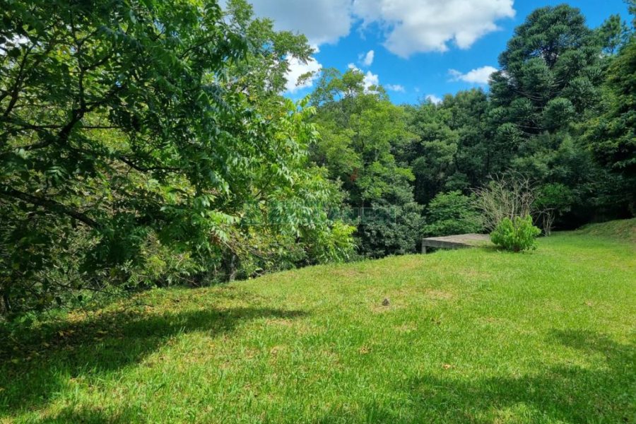 Chácara com 1672m², no bairro Linha 40 em Caxias do Sul para Comprar