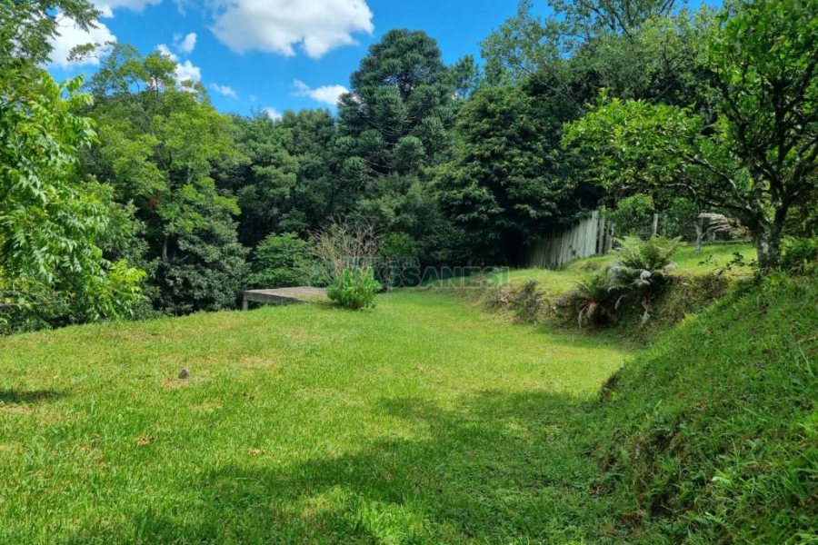 Chácara com 1672m², no bairro Linha 40 em Caxias do Sul para Comprar