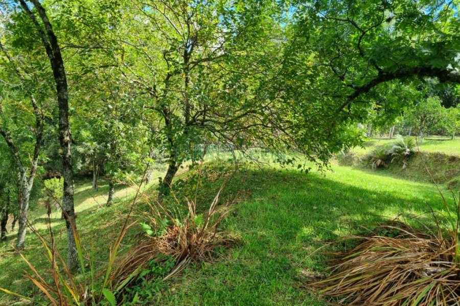 Chácara com 1672m², no bairro Linha 40 em Caxias do Sul para Comprar