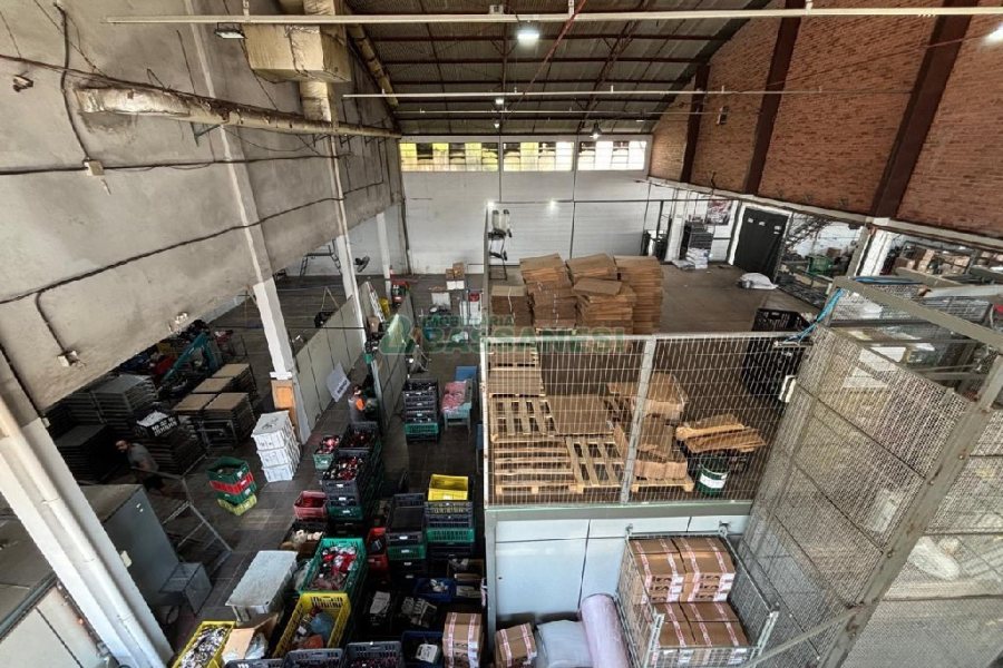 Pavilhão com 3078m², no bairro Distrito Industrial em Caxias do Sul para Alugar