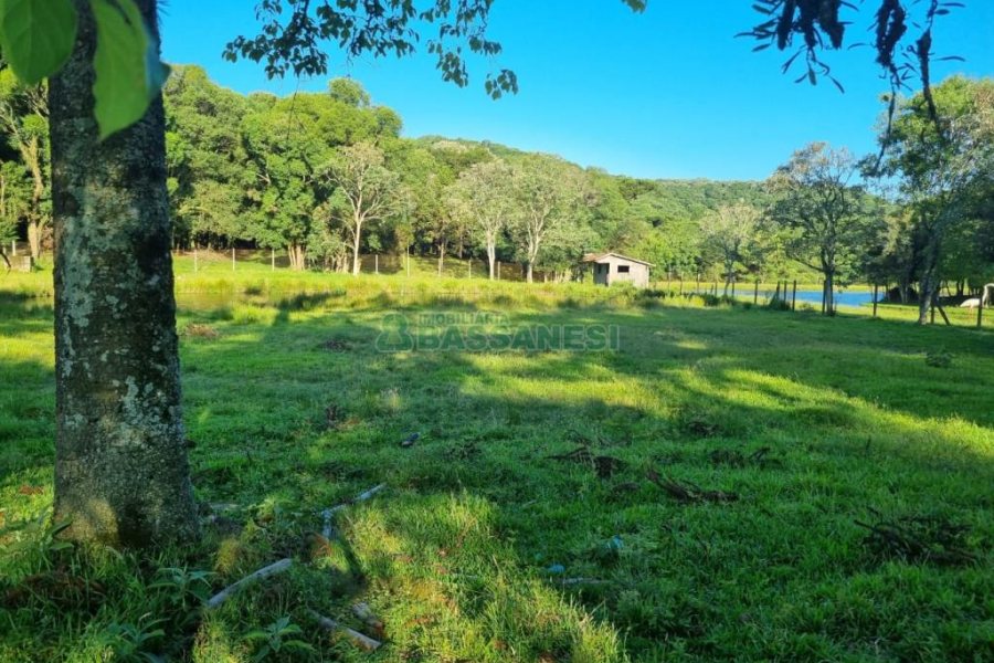 Chácara com 38600m², no bairro Fazenda Souza em Caxias do Sul para Comprar