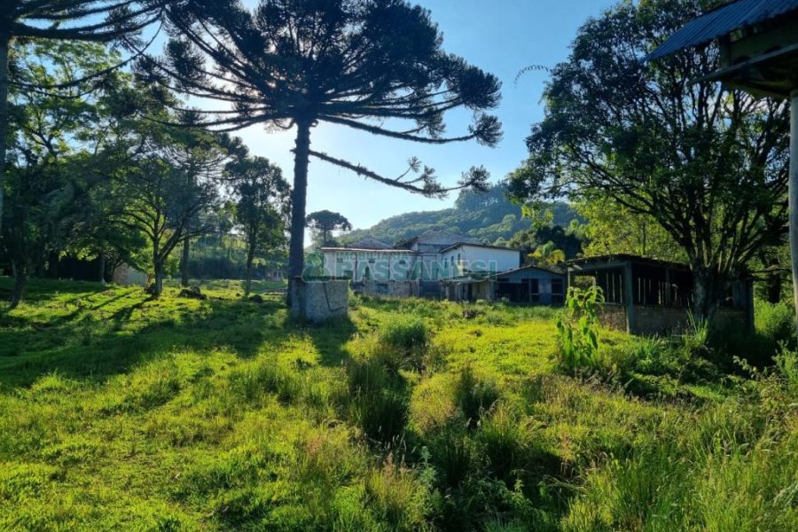 Chácara com 38600m², no bairro Fazenda Souza em Caxias do Sul para Comprar