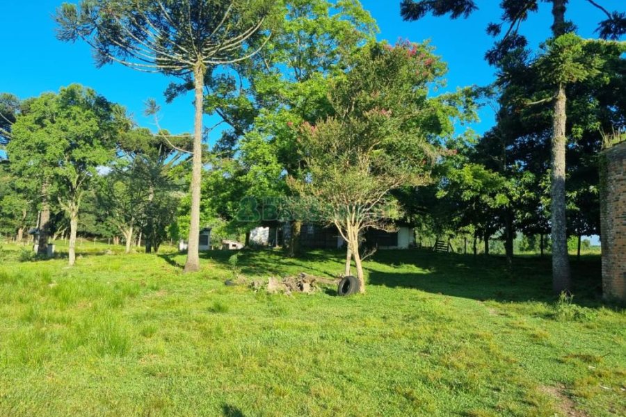 Chácara com 38600m², no bairro Fazenda Souza em Caxias do Sul para Comprar