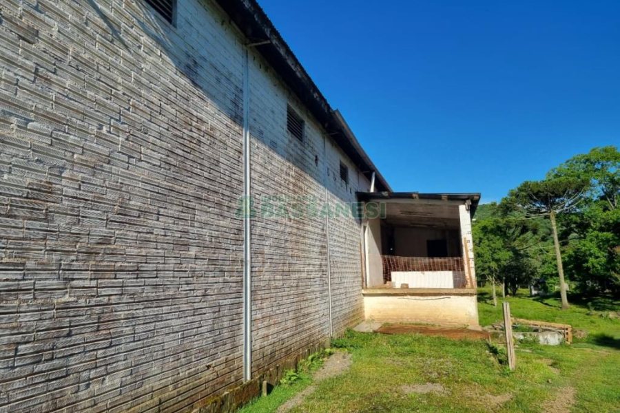 Chácara com 38600m², no bairro Fazenda Souza em Caxias do Sul para Comprar