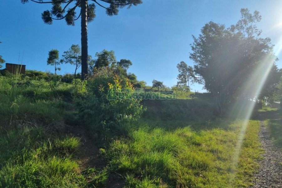 Chácara com 38600m², no bairro Fazenda Souza em Caxias do Sul para Comprar