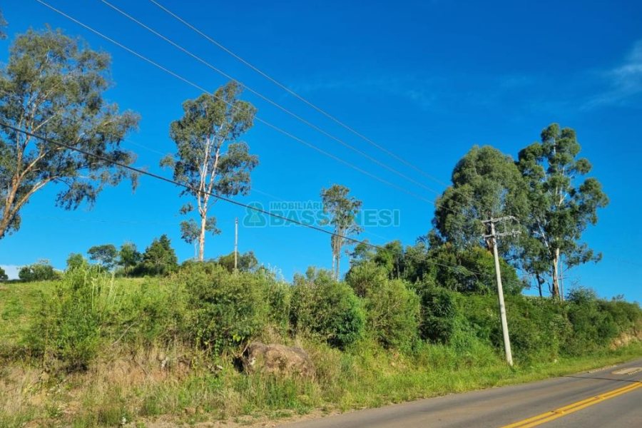 Chácara com 38600m², no bairro Fazenda Souza em Caxias do Sul para Comprar