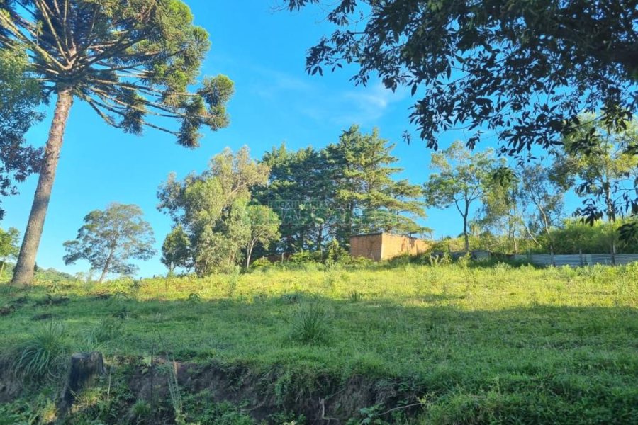 Chácara com 38600m², no bairro Fazenda Souza em Caxias do Sul para Comprar