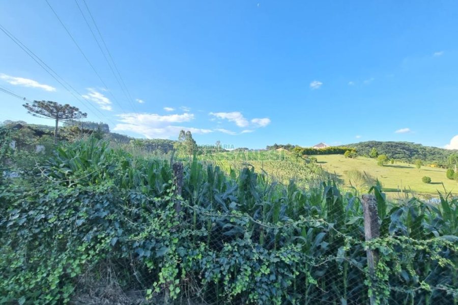 Chácara com 38600m², no bairro Fazenda Souza em Caxias do Sul para Comprar