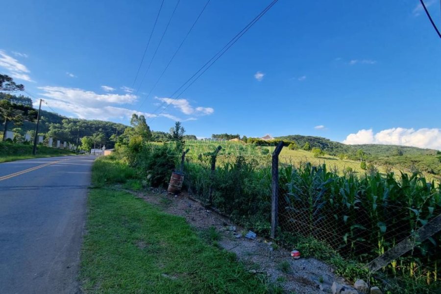 Chácara com 38600m², no bairro Fazenda Souza em Caxias do Sul para Comprar