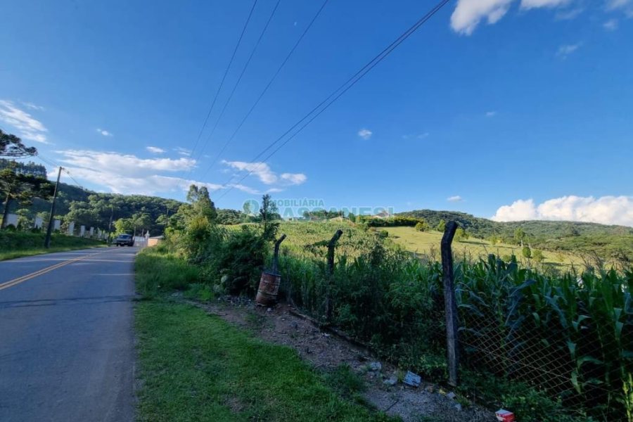 Chácara com 38600m², no bairro Fazenda Souza em Caxias do Sul para Comprar
