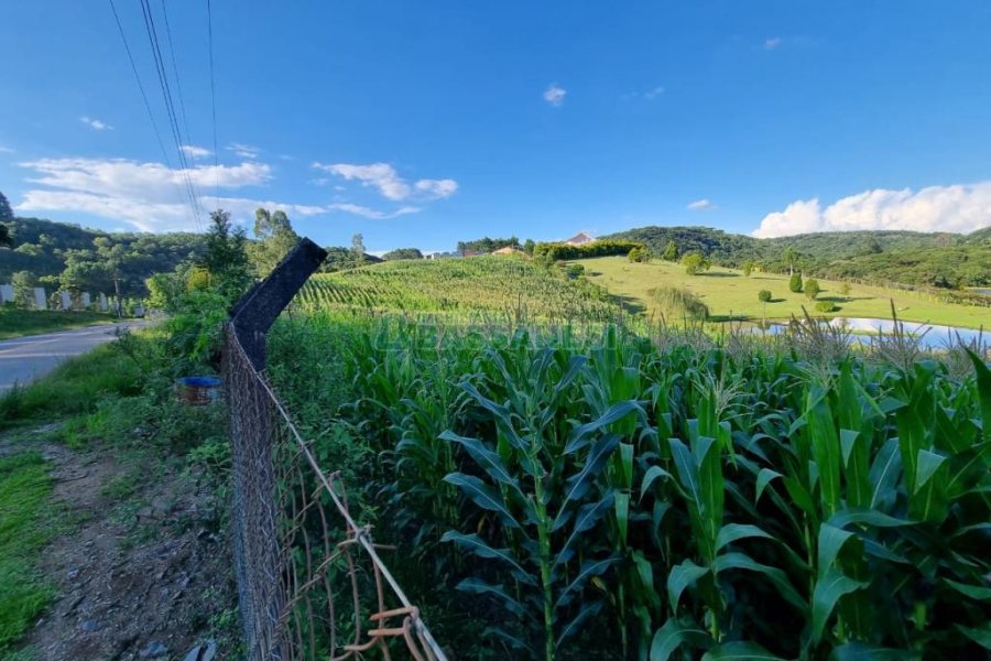 Chácara com 38600m², no bairro Fazenda Souza em Caxias do Sul para Comprar