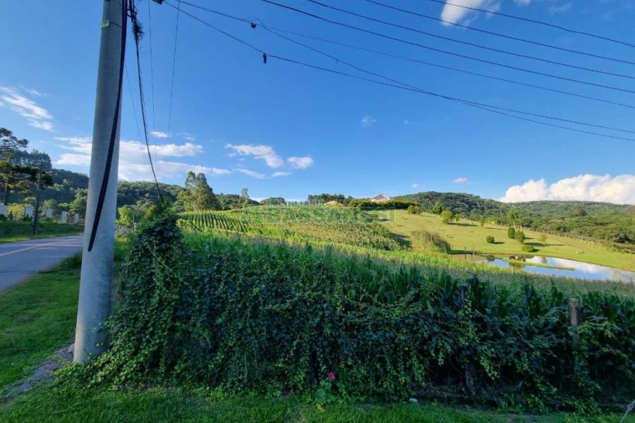 Chácara com 38600m², no bairro Fazenda Souza em Caxias do Sul para Comprar