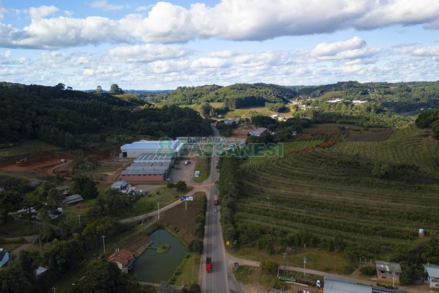 Pavilhão com 4300m², no bairro Jardim das Hortências em Caxias do Sul para Alugar