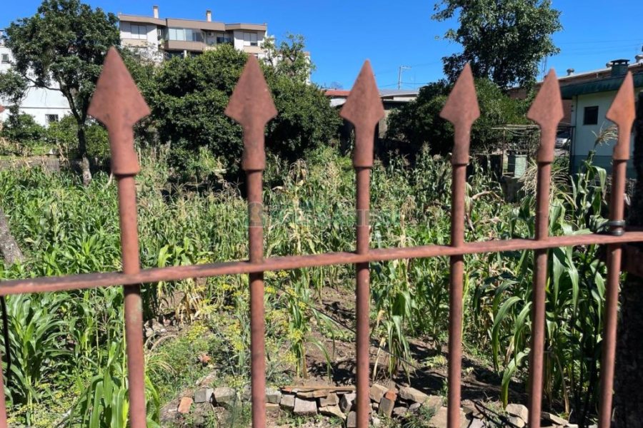 Terreno com 1048m², no bairro Sagrada Família em Caxias do Sul para Comprar