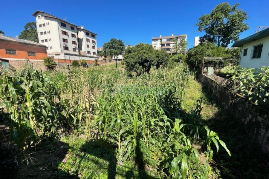 Terreno com 1048m², no bairro Sagrada Família em Caxias do Sul para Comprar
