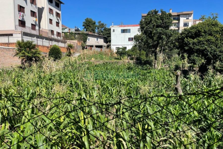Terreno com 1058m², no bairro Sagrada Família em Caxias do Sul para Comprar