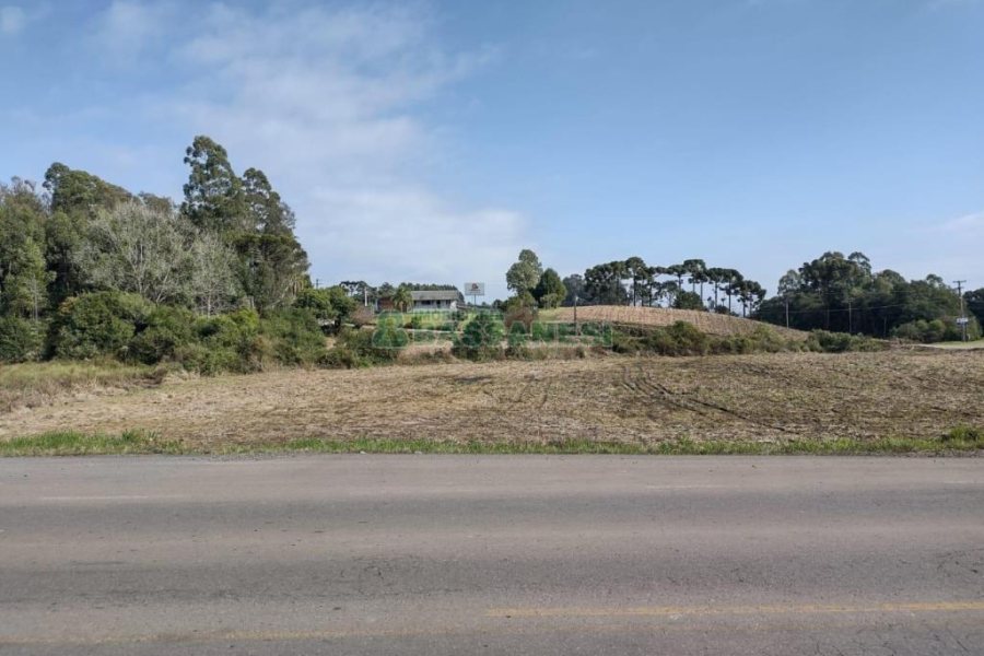 Terreno com 15800m², no bairro Forqueta em Caxias do Sul para Comprar