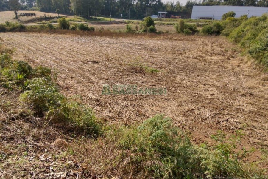 Terreno com 10800m², no bairro Forqueta em Caxias do Sul para Comprar