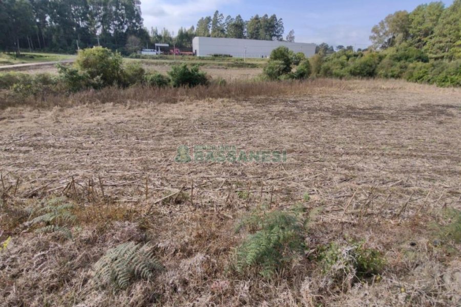 Terreno com 10800m², no bairro Forqueta em Caxias do Sul para Comprar