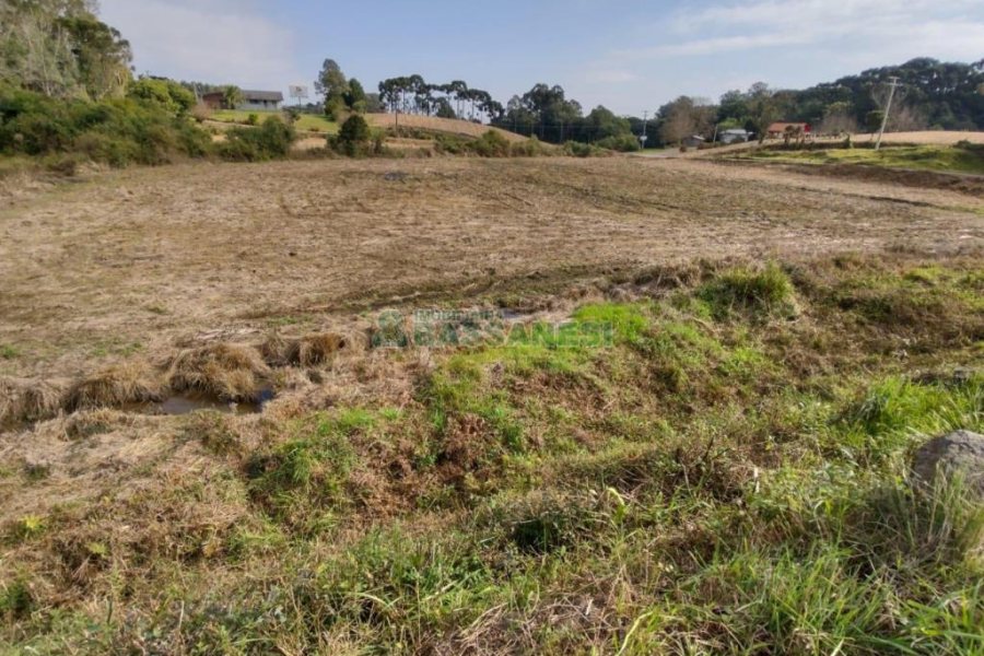Terreno com 10800m², no bairro Forqueta em Caxias do Sul para Comprar