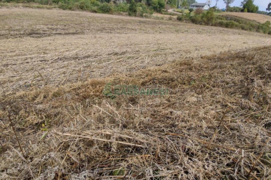 Terreno com 10800m², no bairro Forqueta em Caxias do Sul para Comprar