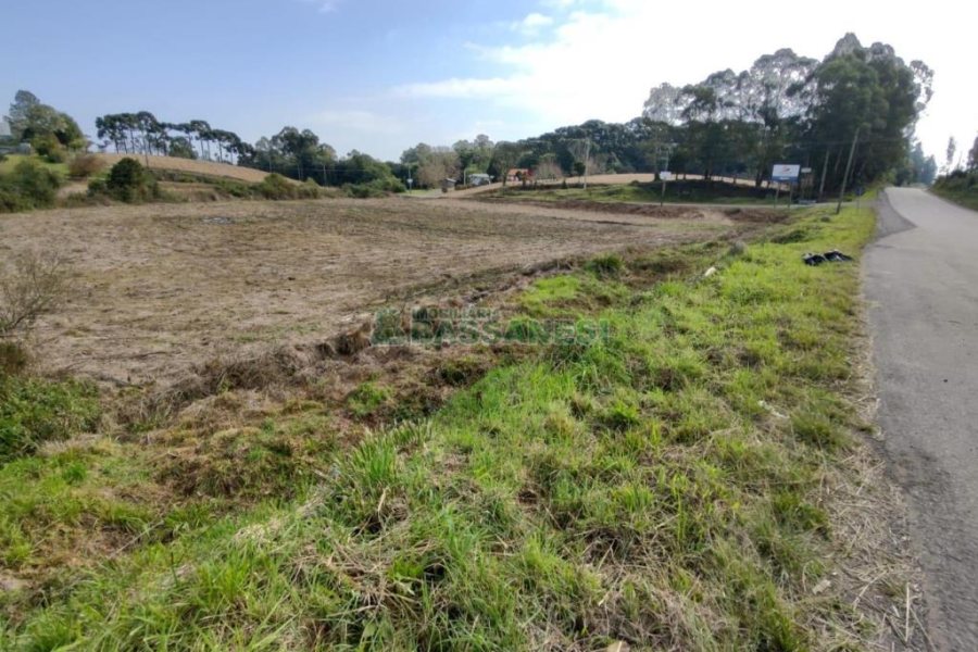 Terreno com 10800m², no bairro Forqueta em Caxias do Sul para Comprar