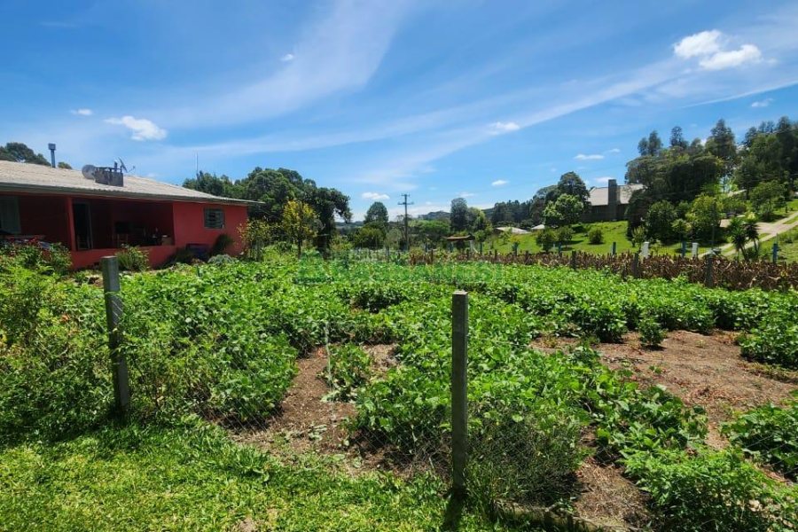 Chácara com 150m², 3 dormitórios, no bairro Apanhador em Caxias do Sul para Comprar