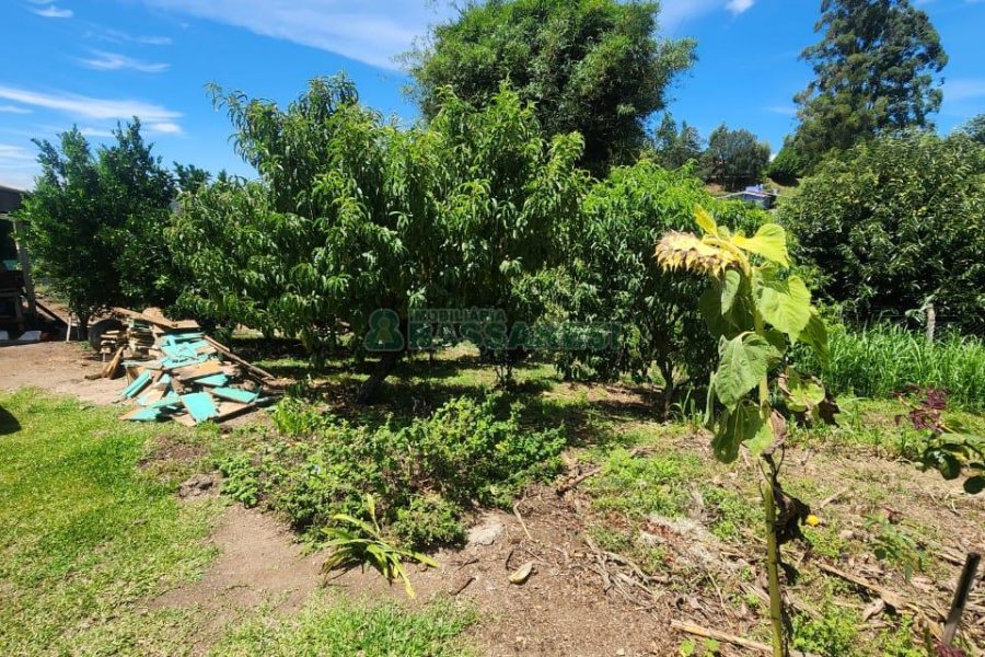 Chácara com 150m², 3 dormitórios, no bairro Apanhador em Caxias do Sul para Comprar