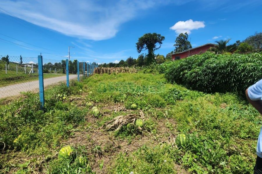 Chácara com 150m², 3 dormitórios, no bairro Apanhador em Caxias do Sul para Comprar