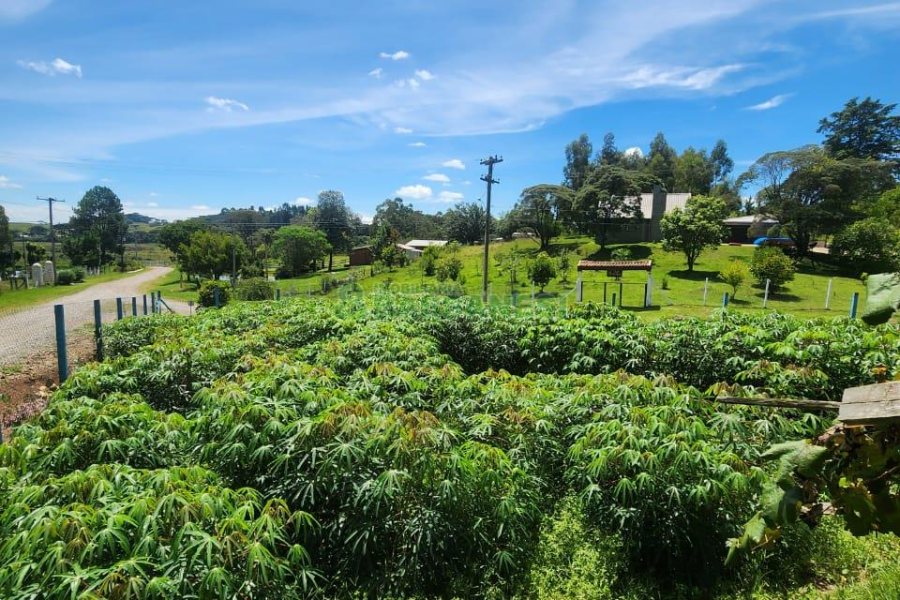 Chácara com 150m², 3 dormitórios, no bairro Apanhador em Caxias do Sul para Comprar