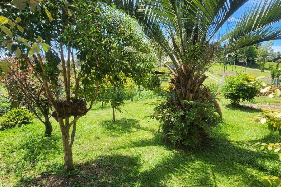 Chácara com 150m², 3 dormitórios, no bairro Apanhador em Caxias do Sul para Comprar