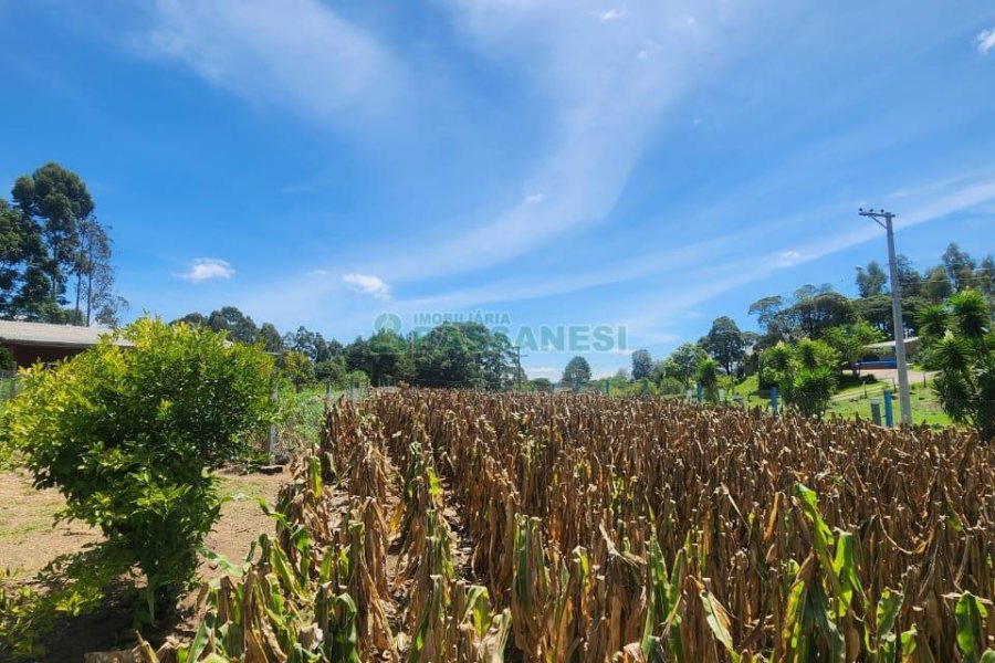 Chácara com 150m², 3 dormitórios, no bairro Apanhador em Caxias do Sul para Comprar