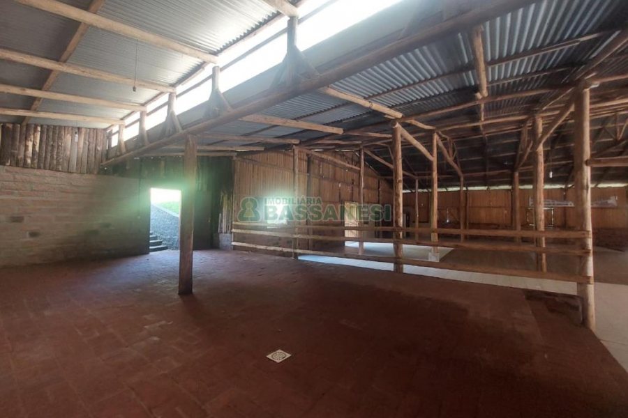 Pavilhão com 600m², no bairro Vila Cristina em Caxias do Sul para Alugar