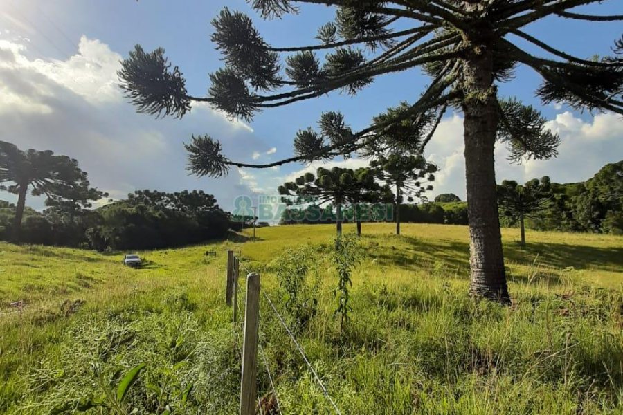 Terreno com 550000m², no bairro Vila Seca em Caxias do Sul para Comprar