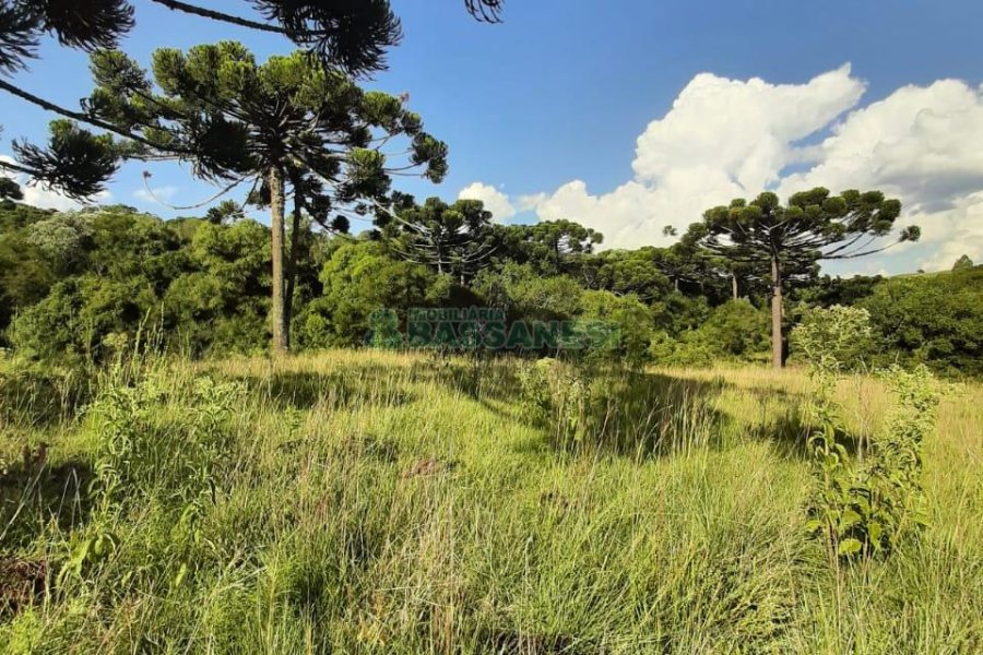 Terreno com 550000m², no bairro Vila Seca em Caxias do Sul para Comprar