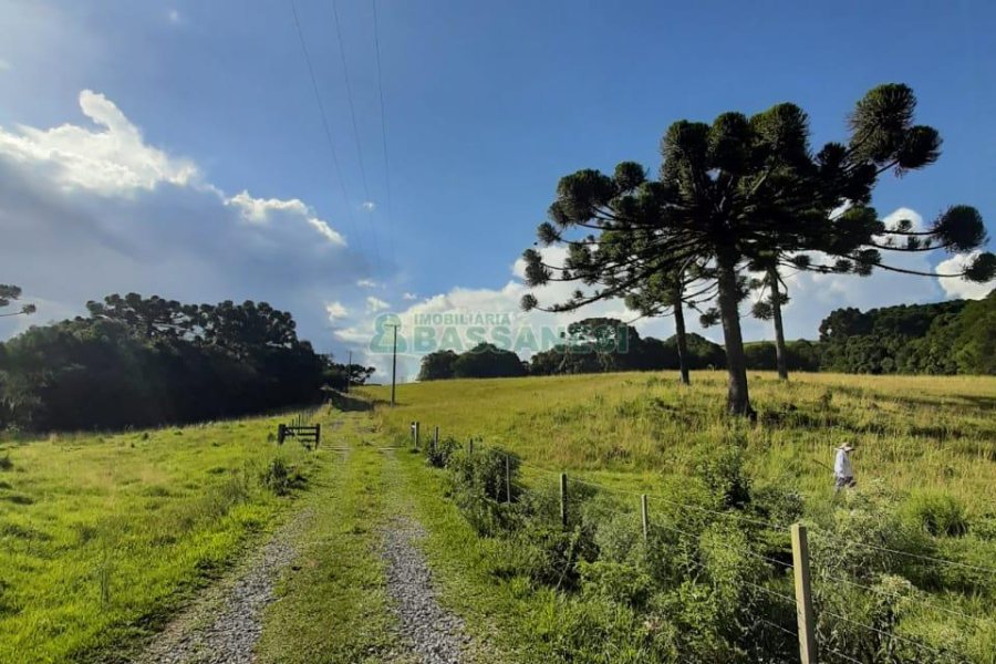 Terreno com 550000m², no bairro Vila Seca em Caxias do Sul para Comprar
