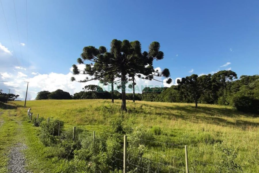 Terreno com 550000m², no bairro Vila Seca em Caxias do Sul para Comprar