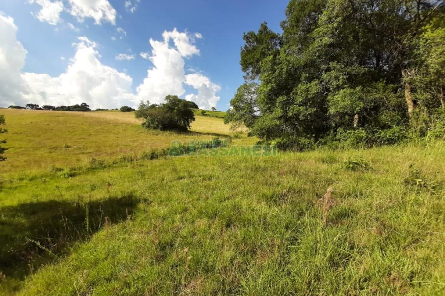 Terreno com 550000m², no bairro Vila Seca em Caxias do Sul para Comprar