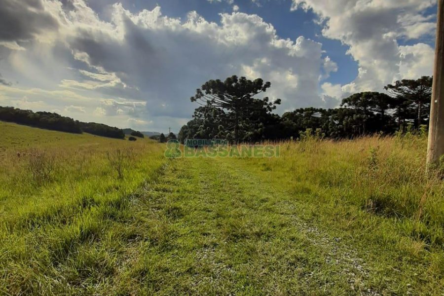 Terreno com 550000m², no bairro Vila Seca em Caxias do Sul para Comprar