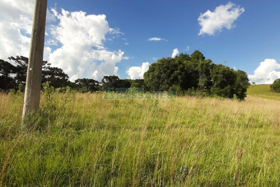 Terreno com 550000m², no bairro Vila Seca em Caxias do Sul para Comprar