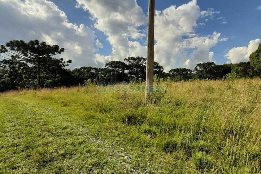 Terreno com 550000m², no bairro Vila Seca em Caxias do Sul para Comprar