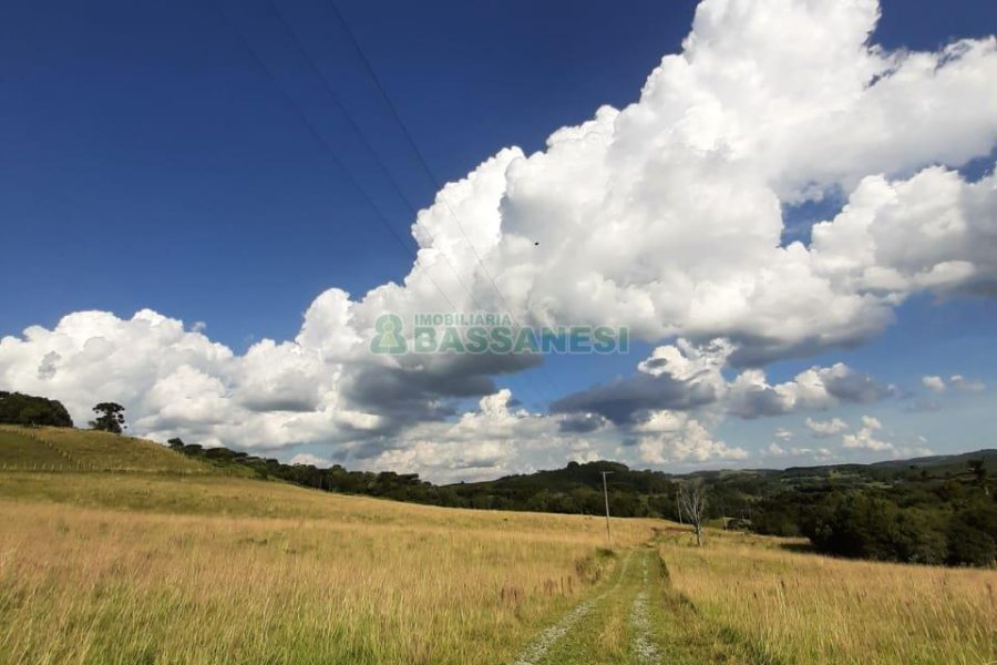 Terreno com 550000m², no bairro Vila Seca em Caxias do Sul para Comprar