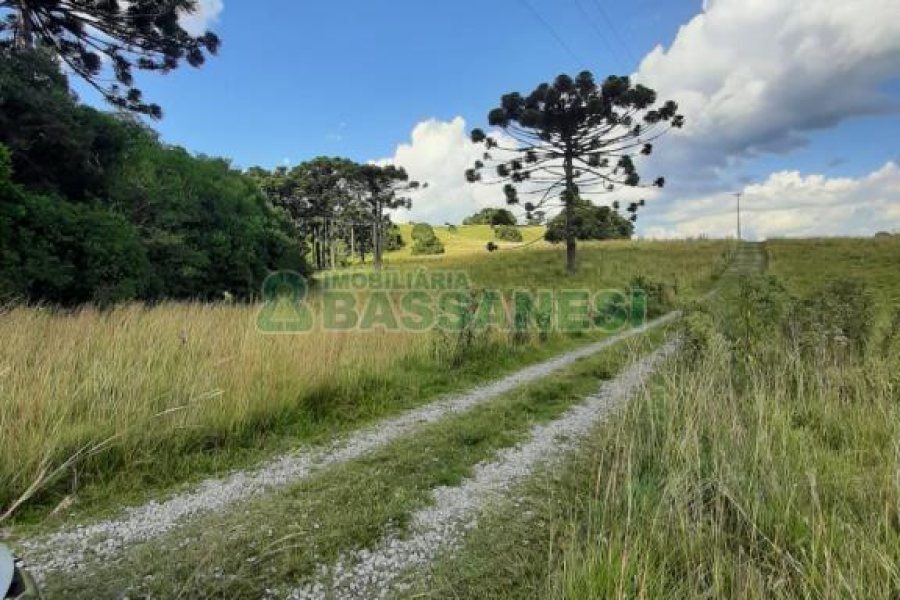 Terreno com 550000m², no bairro Vila Seca em Caxias do Sul para Comprar