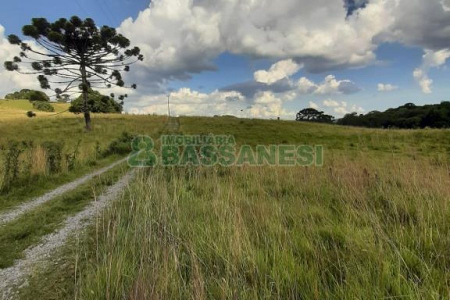 Terreno com 550000m², no bairro Vila Seca em Caxias do Sul para Comprar