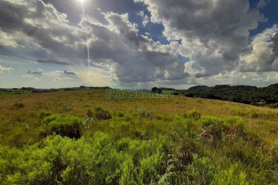 Terreno com 550000m², no bairro Vila Seca em Caxias do Sul para Comprar
