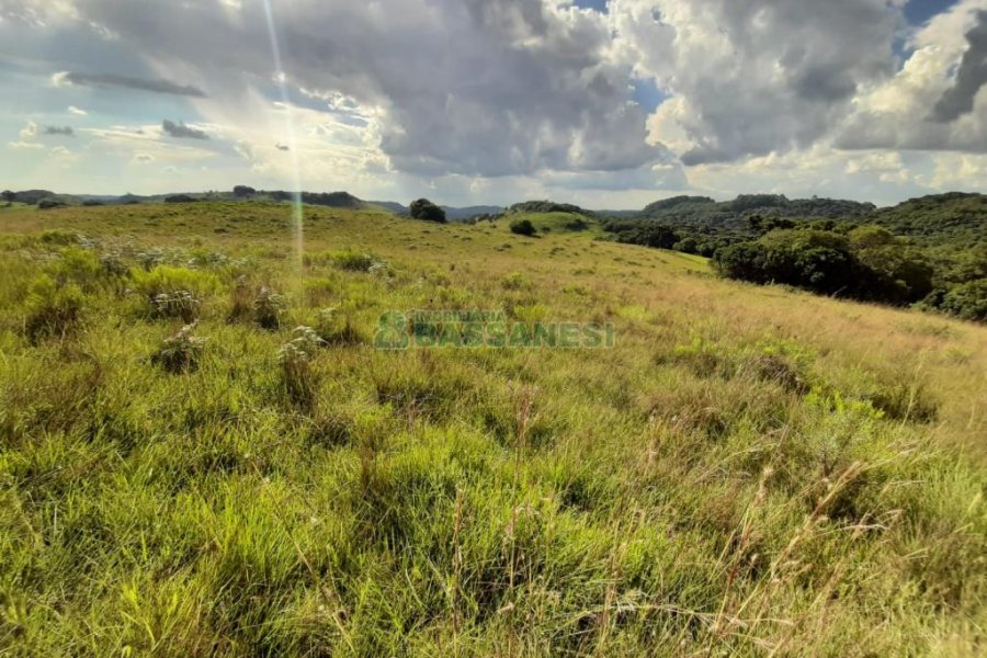 Terreno com 550000m², no bairro Vila Seca em Caxias do Sul para Comprar