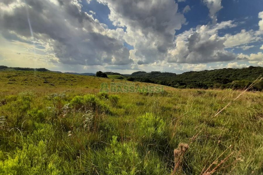 Terreno com 550000m², no bairro Vila Seca em Caxias do Sul para Comprar